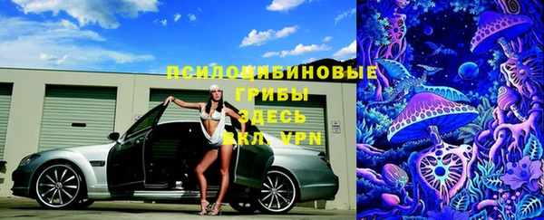 прущий лед Алексеевка