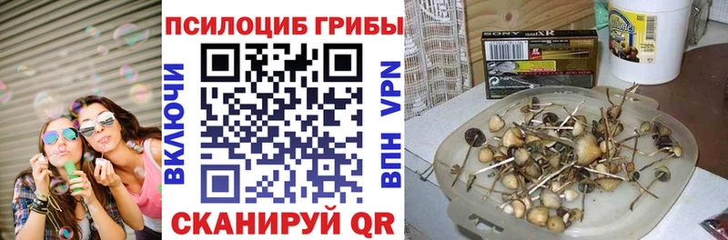 Псилоцибиновые грибы мицелий Топки
